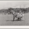 Clown rider with his trick mule at rodeo. Quemado, New Mexico