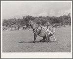Clown rider with his trick mule at rodeo. Quemado, New Mexico