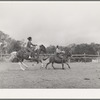 Trick riding at rodeo. Quemado, New Mexico