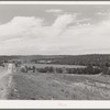 Character of farming country and distant view of Chilili. Bernalillo County, New Mexico