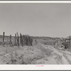 Country land, irrigation ditch and fences. Chamisal, New Mexico