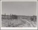 Country land, irrigation ditch and fences. Chamisal, New Mexico