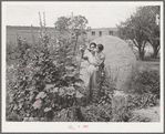 Spanish-American woman and baby in flower garden. Chamisal, New Mexico