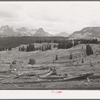 Results of deforestation during the early mining days, San Juan County, Colorado. Notice the evidences of wasteful deforestation