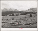 Results of deforestation during the early mining days, San Juan County, Colorado. Notice the evidences of wasteful deforestation