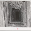 Timbered tunnel leading into mine. San Juan County, Colorado