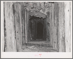 Timbered tunnel leading into mine. San Juan County, Colorado