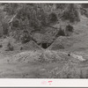 Mine tunnel in the side of the mountain. San Juan County, Colorado