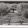 Rotting ties of abandoned railroad in San Juan County, Colorado. When the mines were abandoned, all activity in the towns and valleys was at a standstill