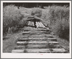 Rotting ties of abandoned railroad in San Juan County, Colorado. When the mines were abandoned, all activity in the towns and valleys was at a standstill