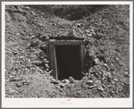 Entrance to mine tunnel. San Juan County, Colorado