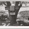 Electric fence used on farm in Animas River Valley. La Plata County, Colorado