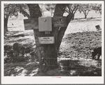 Electric fence used on farm in Animas River Valley. La Plata County, Colorado