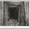 Timber-shored tunnel into mine, San Juan County, Colorado. Much timber is required in mine tunnel construction and mill work