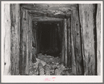 Timber-shored tunnel into mine, San Juan County, Colorado. Much timber is required in mine tunnel construction and mill work