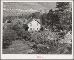 Home of farmer in the Animas River Valley. La Plata County, Colorado