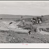 Men of Concho, Arizona, building a bridge across stream