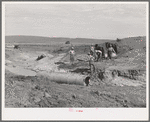 Men of Concho, Arizona, building a bridge across stream