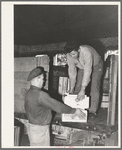 Loading fruit into truck for shipment at produce company warehouse. Santa Clara, Utah