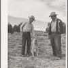 Sheepherders of the Candelaria brothers. Concho, Arizona