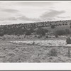 The Candelarias are large sheep operators at Concho, Arizona