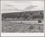 The Candelarias are large sheep operators at Concho, Arizona