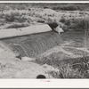 Water in irrigation canal. Bernalillo County, New Mexico