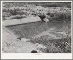 Water in irrigation canal. Bernalillo County, New Mexico