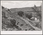 Three roads used in the development of the community of Santa Clara, Utah. The oldest one is barely discernable at the left; the middle one of medium age is still used to reach some farm land; new highway is seen through the trees