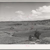 Distant view of Concho, Arizona