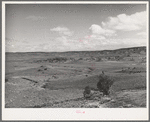 Distant view of Concho, Arizona