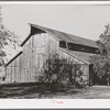 Barn on farm of Elof Hansen, small farmer and FSA  client in Yuba County, California. He owns forty-seven acres but has federal land bank loan of twenty-two hundred dollars on his land (as of March 13, 1939). (see notes for full title)