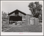 Barn of Perry Warner, small farmer in Tehama County, California