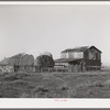 Haystack and barn of Jo Webster, farmer in El Camino district, Tehema County, California. He owns 25 acres but owes money on irrigation bonds. He rents an additional 15 acres. He has about 20 dairy cows, poultry and raises his own alfalfa