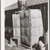 Improvised shower on farm of Elof Hansen. Yuba County, California