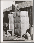 Improvised shower on farm of Elof Hansen. Yuba County, California