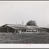 Chicken houses of Jo Webster, farmer in Tehama County, California