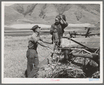 Neighboring farmer asking one of the members of the Olsen cooperative binder when custom work could be done for him. Mantua, Utah