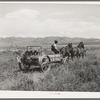 FSA cooperative manure spreader in action. Box Elder County, Utah