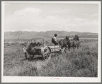 FSA cooperative manure spreader in action. Box Elder County, Utah