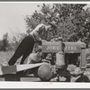 Farmer looking at the tank of tractor to see if it needs fuel. Box Elder County, Utah