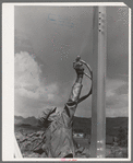 Workmen spraying a bridge with silver paint. Sapinero, Colorado