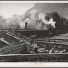 Loading fat lambs on narrow gauge railway for shipment to Denver market. Cimarron, Colorado