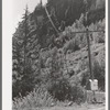 Telephone wires stretched up a mountainside on road. Camp Bird Mine, Ouray County, Colorado