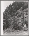 Telephone wires stretched up a mountainside on road. Camp Bird Mine, Ouray County, Colorado