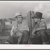 Two sheepmen talking. Cimarron, Colorado