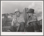 Two sheepmen talking. Cimarron, Colorado