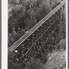 Trestle of narrow gauge railroad near Ophir, Colorado