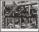 Timbering and mill work of abandoned gold mill at Telluride, Colorado