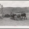 Type of hay pusher which is used in the Uncompahgre River Valley. Ouray County, Colorado